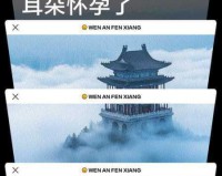 女流，一只能让耳朵怀孕，能治愈一切伤痛的猪