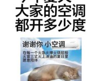 董明珠震撼宣言，格力空调，全球唯一不吹人的凉风制造者！