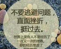 奥兰多·布鲁姆开花访谈，粉丝眼中的奇幻之旅