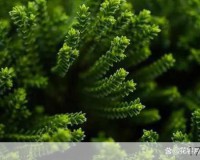 男子上班惊现车轮失窃，小偷理由令人啼笑皆非