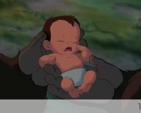 探秘森林泰山Wii美版，从动画到游戏的奇妙之旅