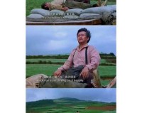 无尽的旅途映射人生 百部最伟大的公路电影