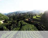 科林麦克雷拉力赛2005燃情登陆，竞速万兽齐奔腾！