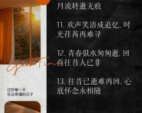 重生狂想，梦回完美国际