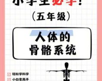 人类的身体有多奇妙?这些X光照片带你感受