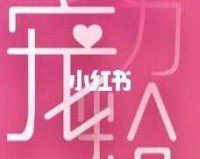 生化危机5黄金版，完美存档攻略秘籍