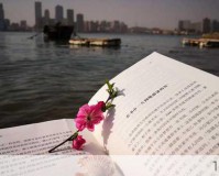 爨姓妈妈教名崩溃记，网友齐呼名字要简单