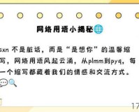 特种兵式旅行风靡，马斯克私人飞机悄然离沪