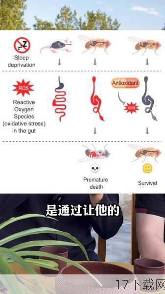 深层剖析:原因与影响