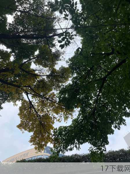 答:除了上述提到的晨曦中的女帝、花丛中的秘密和月光下的誓言外,还有许多经典的波雅·汉库克壁纸场景值得收藏,她在战斗中展现英姿飒爽的一面,或是在日常生活中流露出的温柔与细腻,都是不可多得的艺术品,一些融合了创意元素和独特视角的壁纸,如将女帝与海贼王其他角色进行趣味互动的壁纸,也是不错的选择。