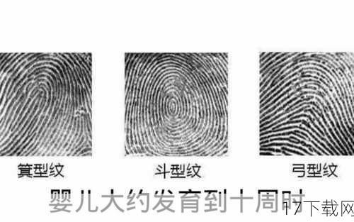 冷知识一:人类的指纹是独一无二的