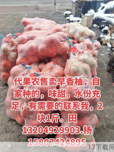 关于月入千元这一点,林悠从不避讳,她解释说,这并非她的全部收入,而是她通过售卖自家种植的农产品和手工艺品所得的直接收入,虽然不多,但足以覆盖她的基本生活开销,包括食物、日常用品以及偶尔的小奢侈,比如一本心仪已久的书或是一次短途旅行,更重要的是,这份收入让她感到自由与独立,不必为了生计而违背内心的选择。
