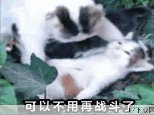 同伴的非战斗作用