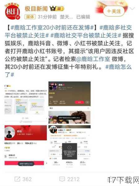 网络上的热议与关注