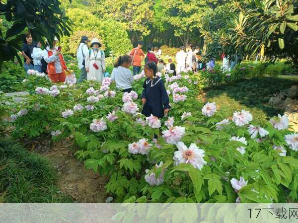 在2011年的那个春天,对于众多《仙剑奇侠传》系列的粉丝而言,是一个激动人心的时刻,随着《仙剑奇侠传5》的预热,官方不仅放出了游戏的诸多信息,更是首次曝光了小蛮手办雕像的原型,这一消息如同一颗石子投入平静的湖面,激起了层层涟漪,让无数玩家翘首以盼。