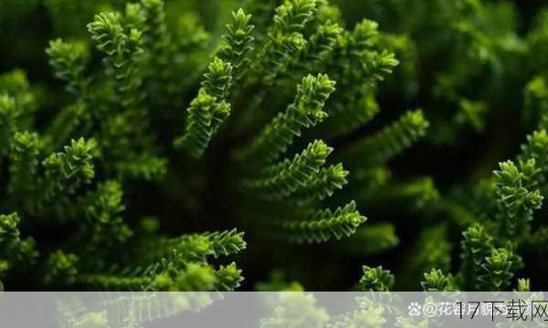在一个风和日丽的早晨,李明像往常一样准备出门上班,他走到停车场,眼前的景象却让他瞬间愣住了——自己的爱车竟然只剩下一个孤零零的后轮,其余三个车轮不翼而飞,这突如其来的变故让李明一时之间不知所措,他环顾四周,试图找到一丝线索,但除了空荡荡的停车位和远处偶尔驶过的车辆,什么也没有发现。