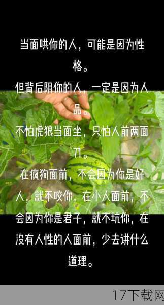 背后的故事:个性与自我的释放