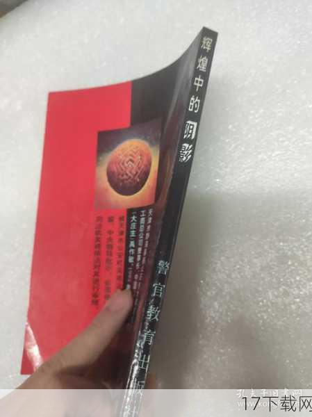 辉煌背后的阴影