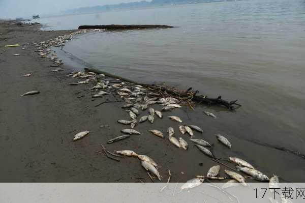 专家解读:高温干旱下的河流生态