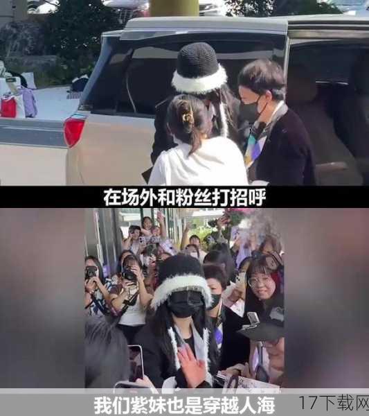 官方态度与粉丝反应