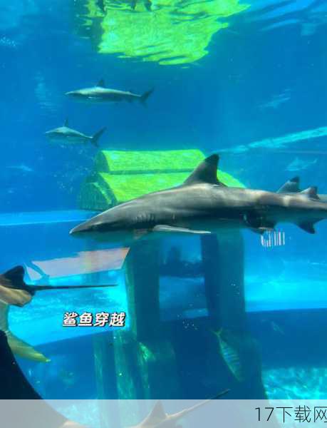 海底奇遇:亚特兰蒂斯岛的探险
